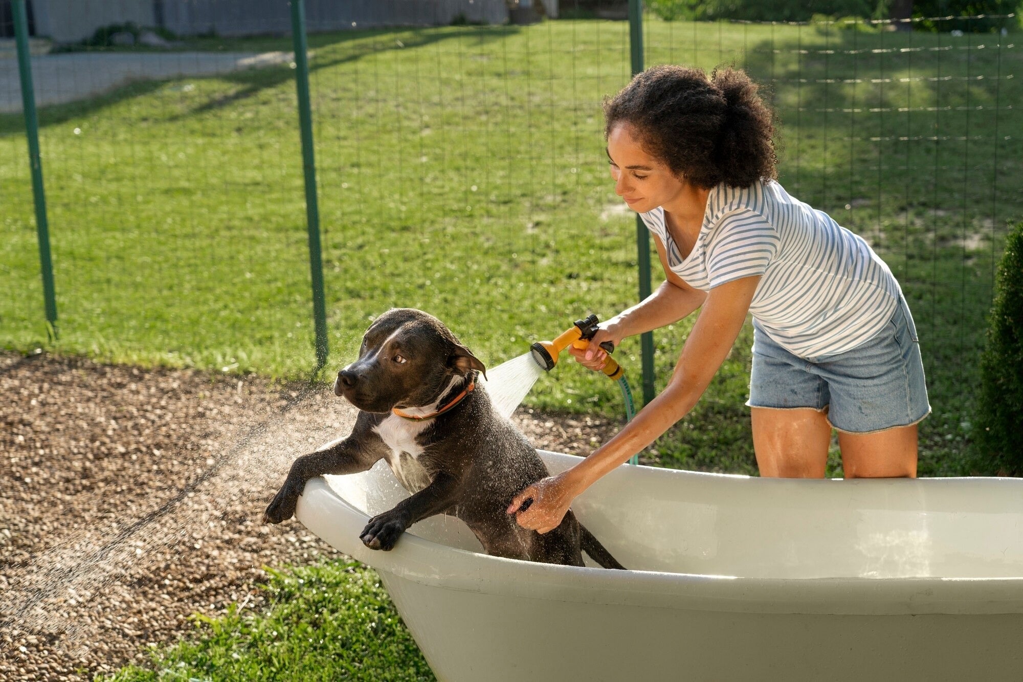 Keeping Pets Fresh with Quality Bath Supplies
