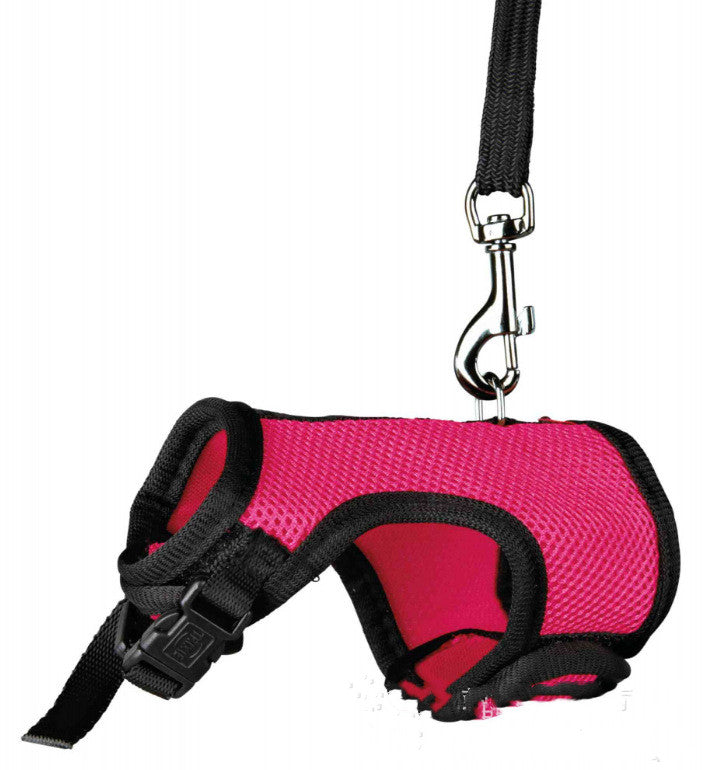 The Perfect Companion for Your Small Pet: The Pet Small Size Leash