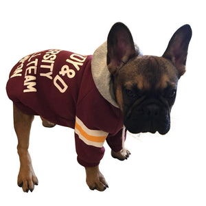 The Ultimate Cozy Companion: Pet Sweater