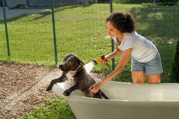 Keeping Pets Fresh with Quality Bath Supplies