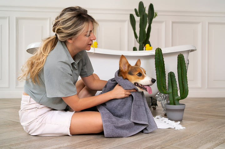 Grooming Essentials for Healthy Pets